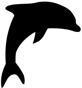 dolphin